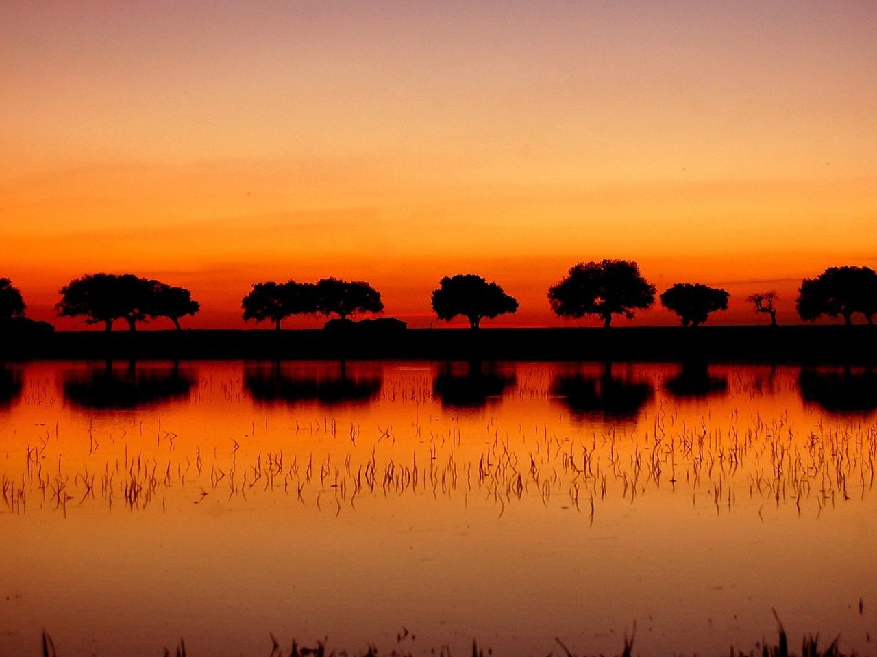 Обои деревья, озеро, закат, отражение, trees, lake, sunset, reflection разрешение 1920x1200 Загрузить