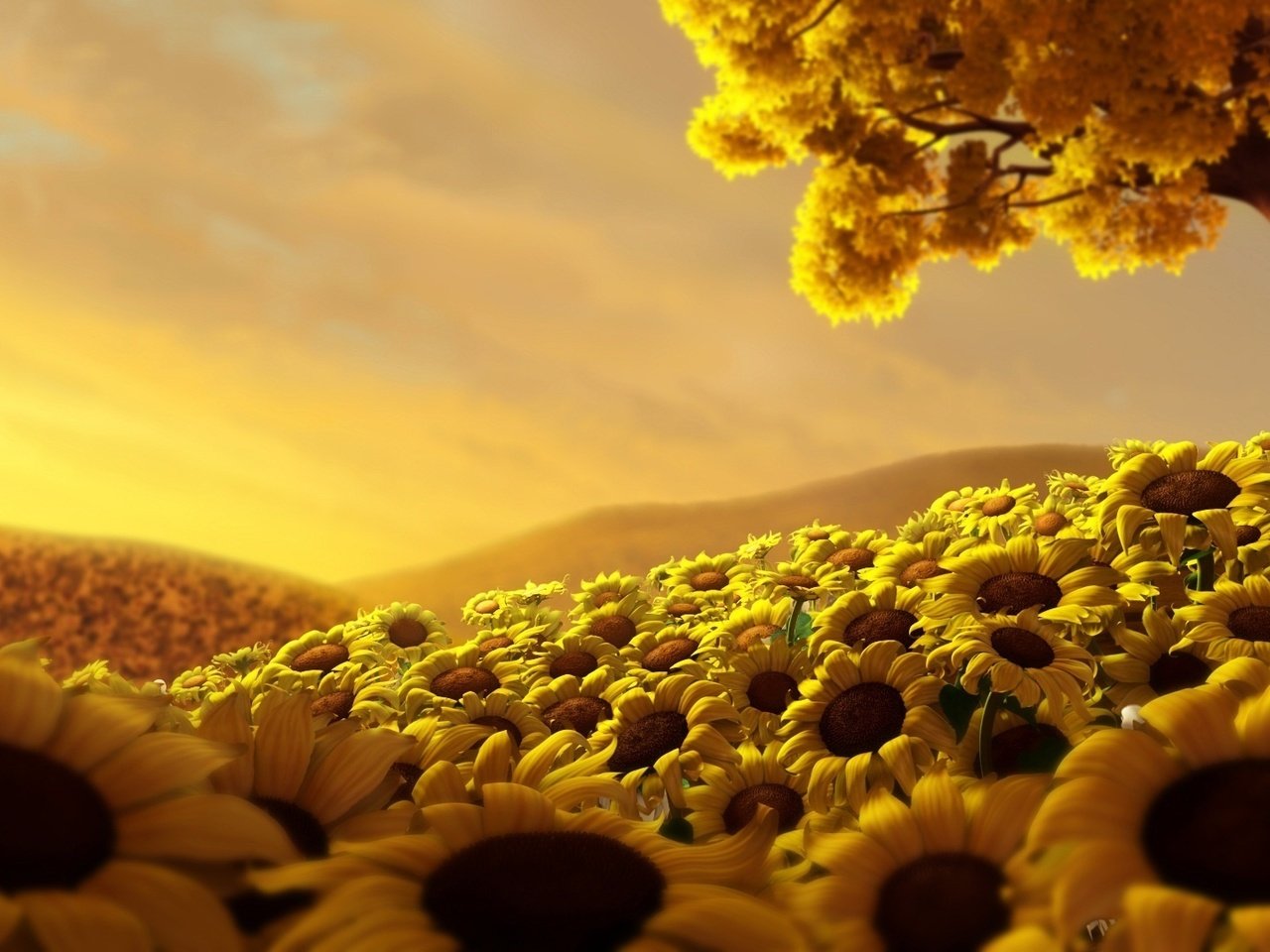 Обои небо, дерево, поле, подсолнухи, the sky, tree, field, sunflowers разрешение 1920x1080 Загрузить