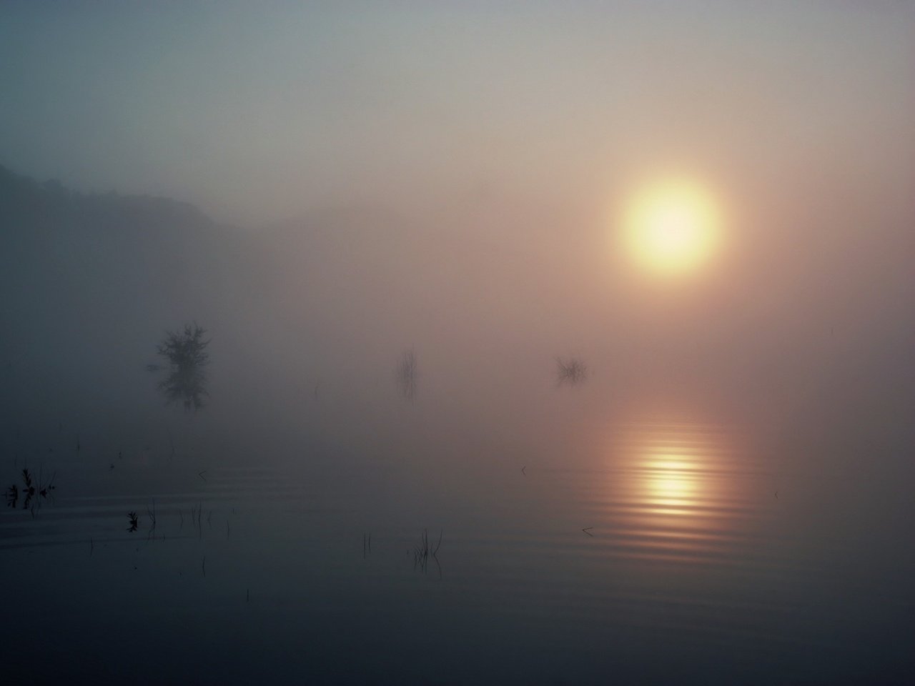 Обои озеро, солнце, туман, lake, the sun, fog разрешение 1920x1440 Загрузить