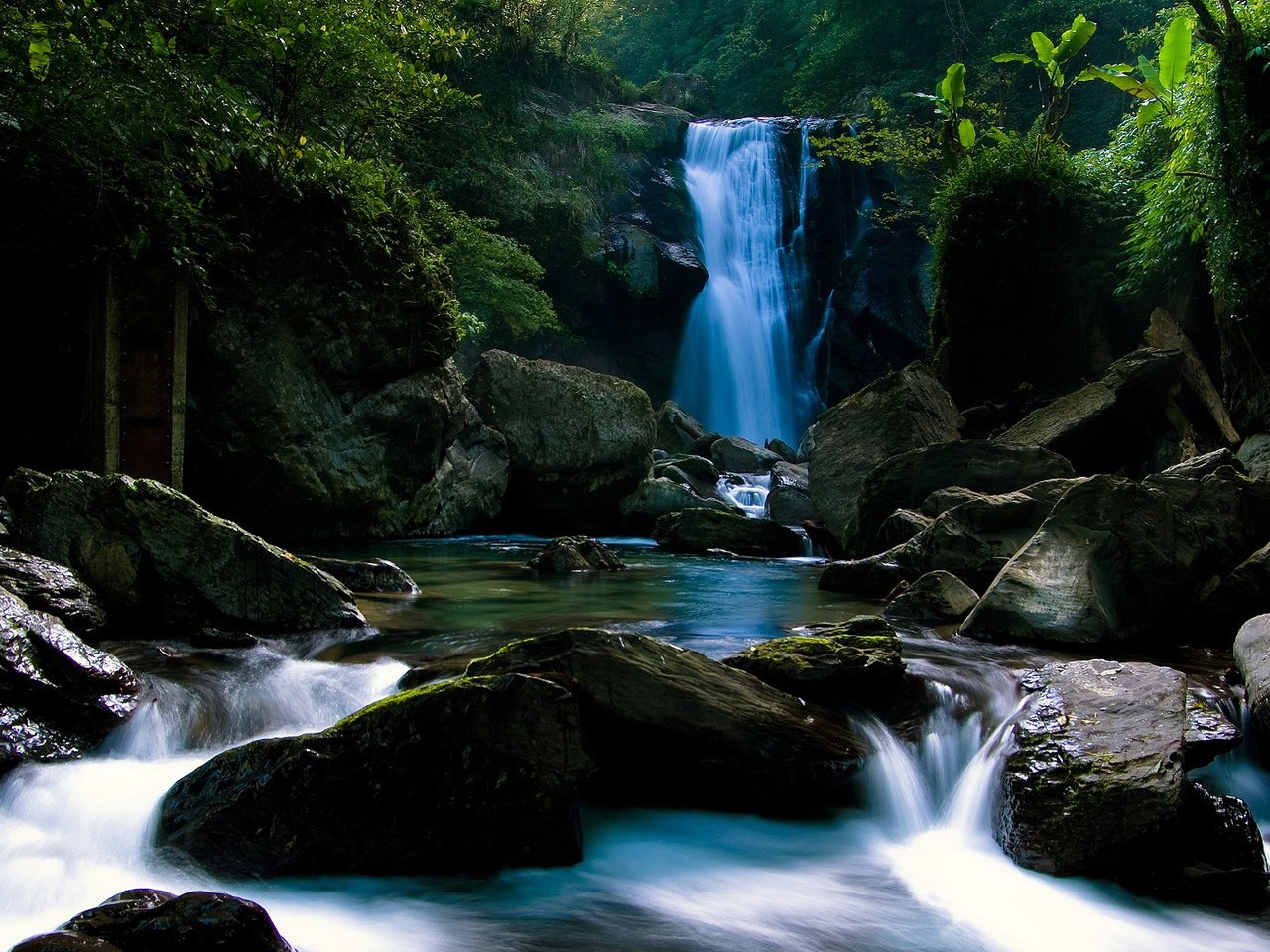 Обои камни, лес, водопад, тропики, stones, forest, waterfall, tropics разрешение 1920x1080 Загрузить