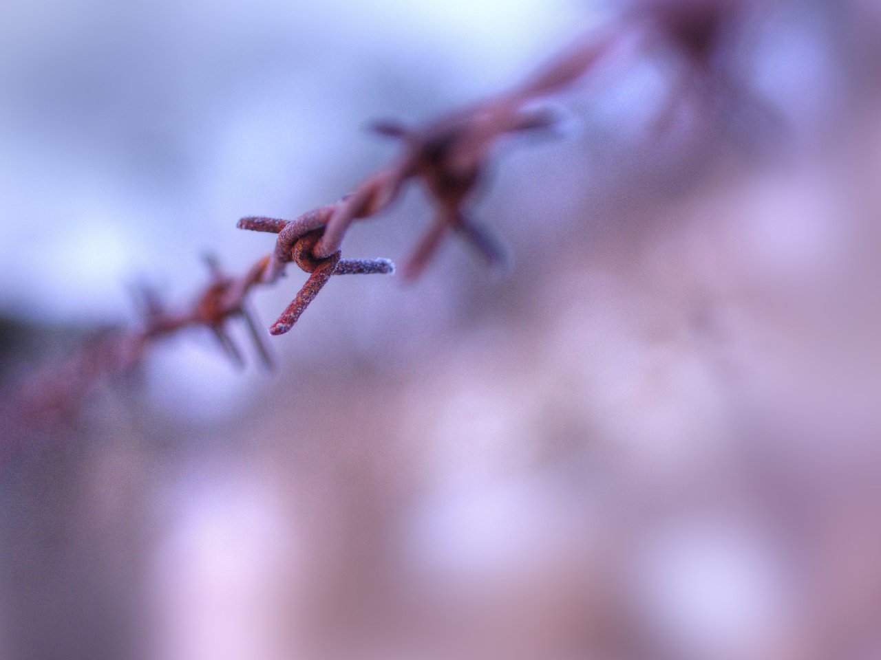 Обои проволока, размытость, колючая проволока, wire, blur, barbed wire разрешение 2560x1600 Загрузить