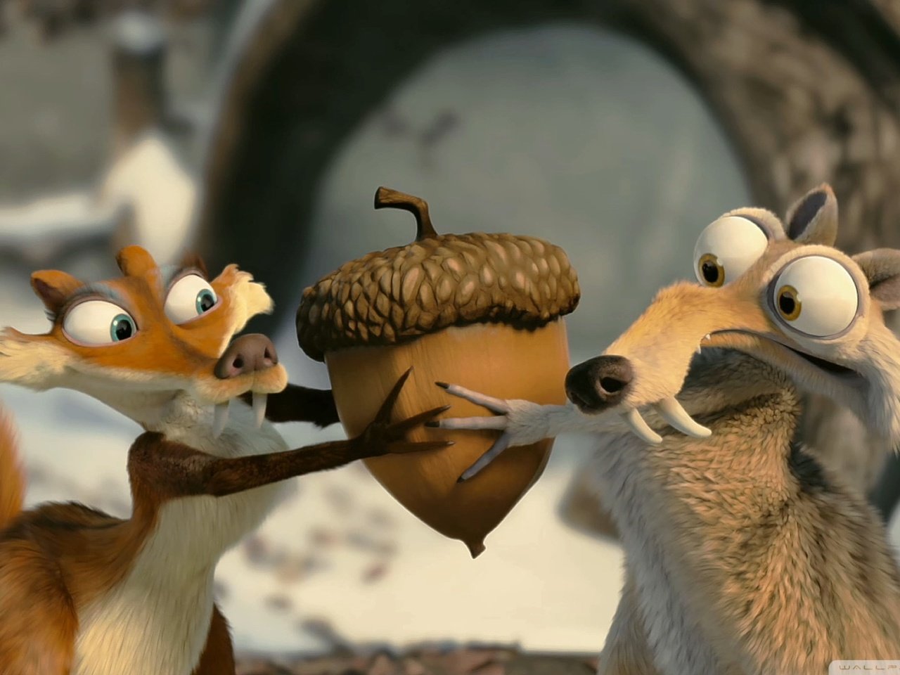 Обои лиса, ледниковый период, белка, орех, fox, ice age, protein, walnut разрешение 1920x1080 Загрузить