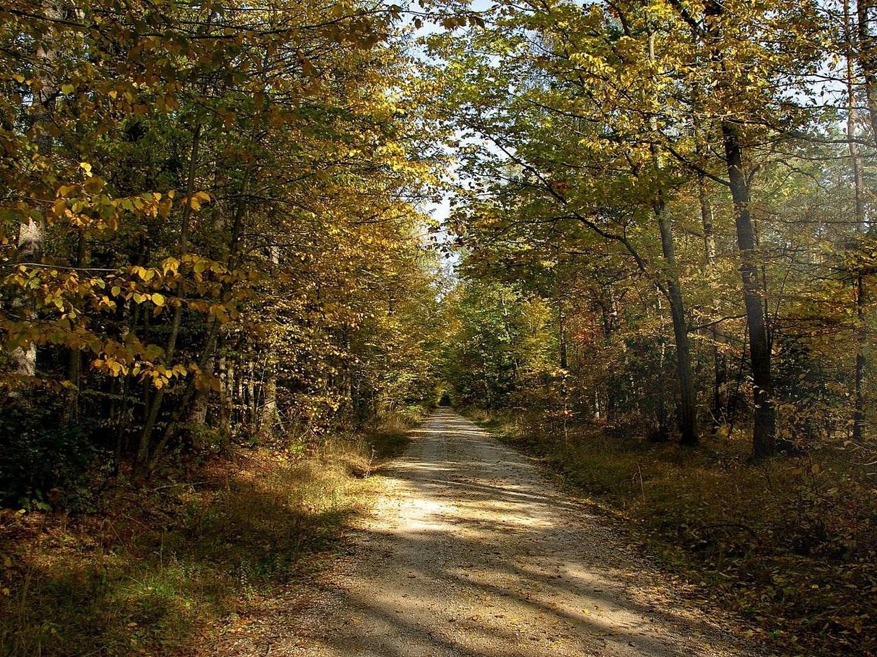 Обои дорога, солнце, лес, лучи, осень, грунтовая, road, the sun, forest, rays, autumn разрешение 1920x1080 Загрузить