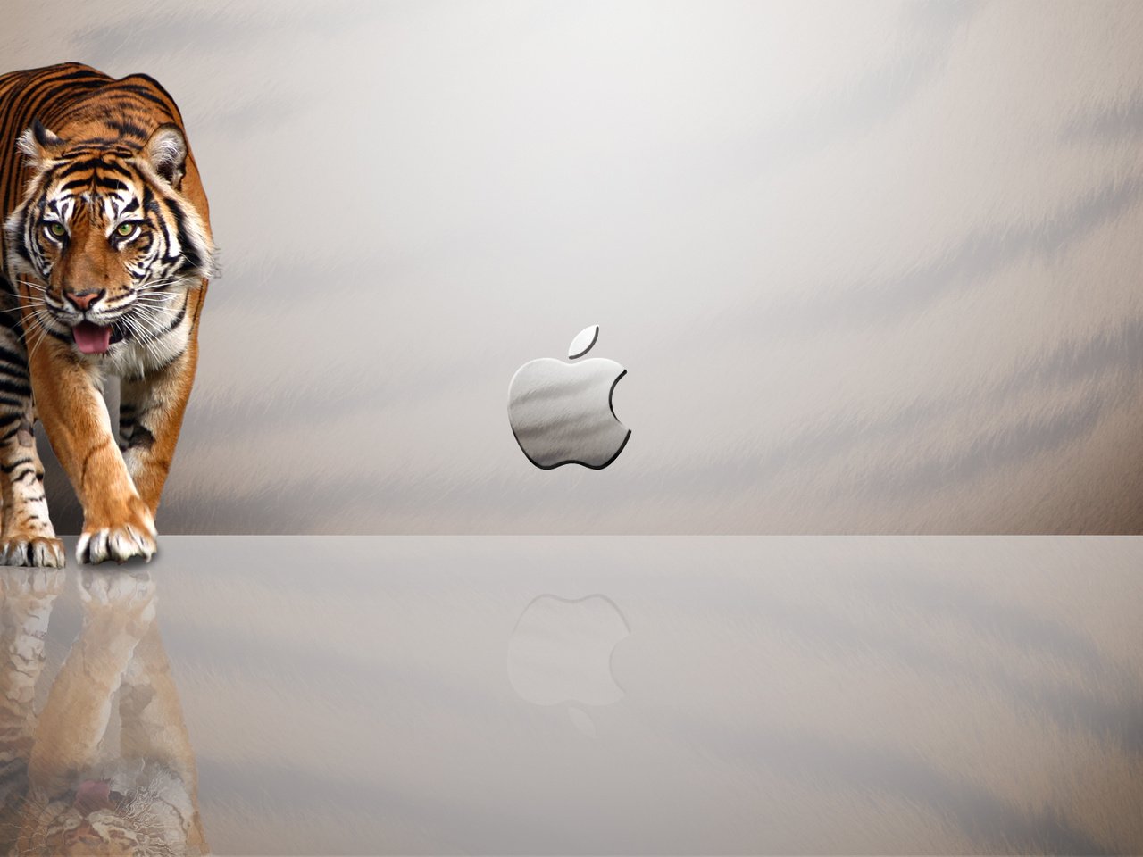 Обои тигр, эппл, tiger, apple разрешение 1920x1080 Загрузить