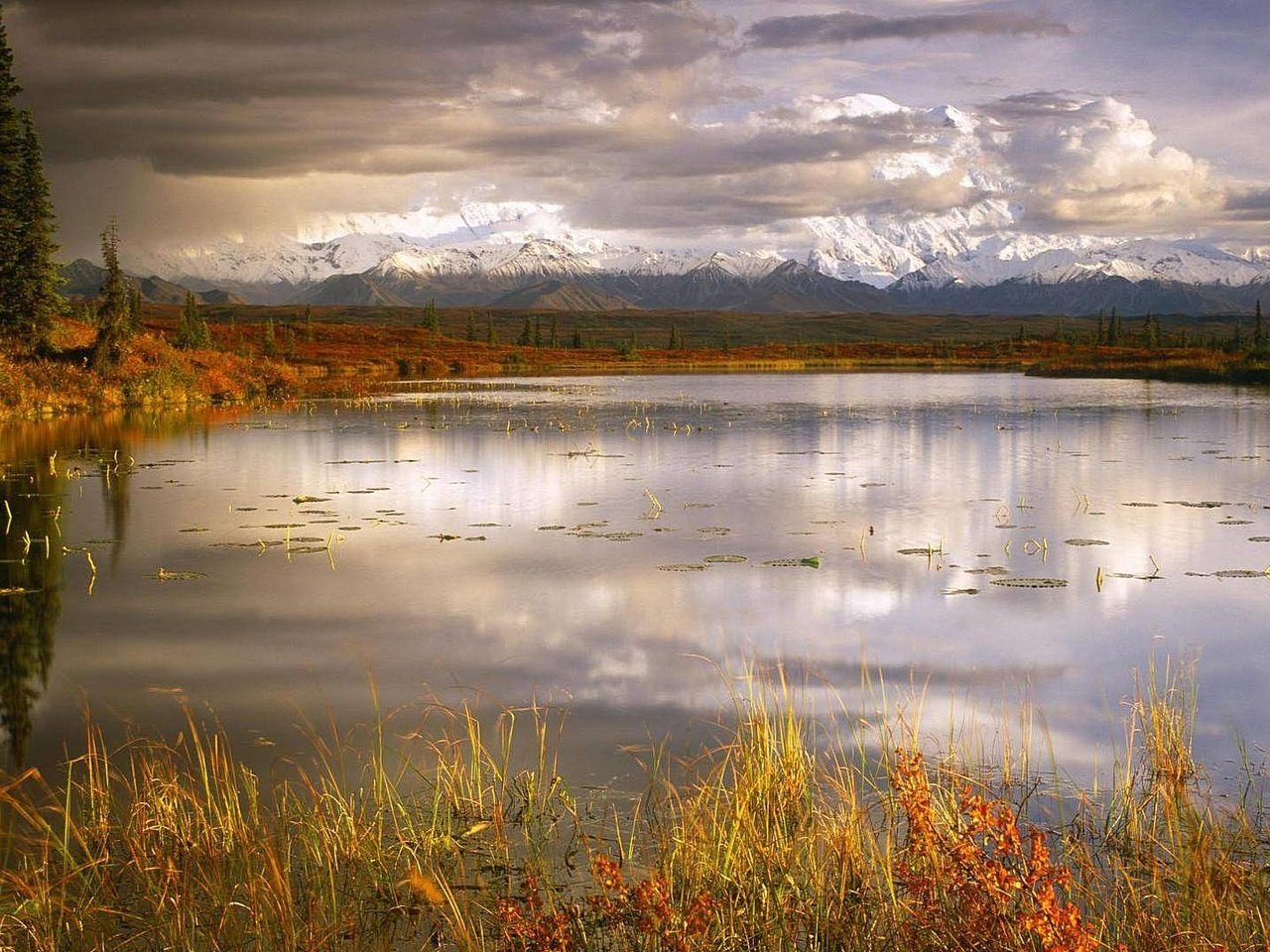 Обои трава, озеро, пасмурно, grass, lake, overcast разрешение 1920x1080 Загрузить