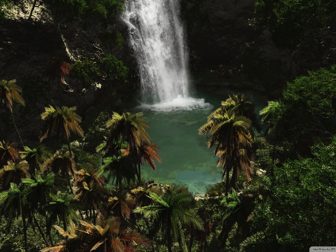 Обои вода, зелень, водопад, пальмы, water, greens, waterfall, palm trees разрешение 1920x1080 Загрузить