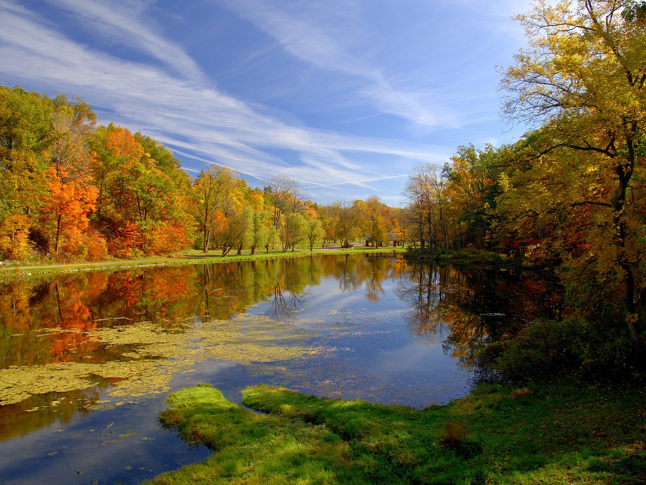 Обои природа, парк, осень, пруд, nature, park, autumn, pond разрешение 1920x1200 Загрузить
