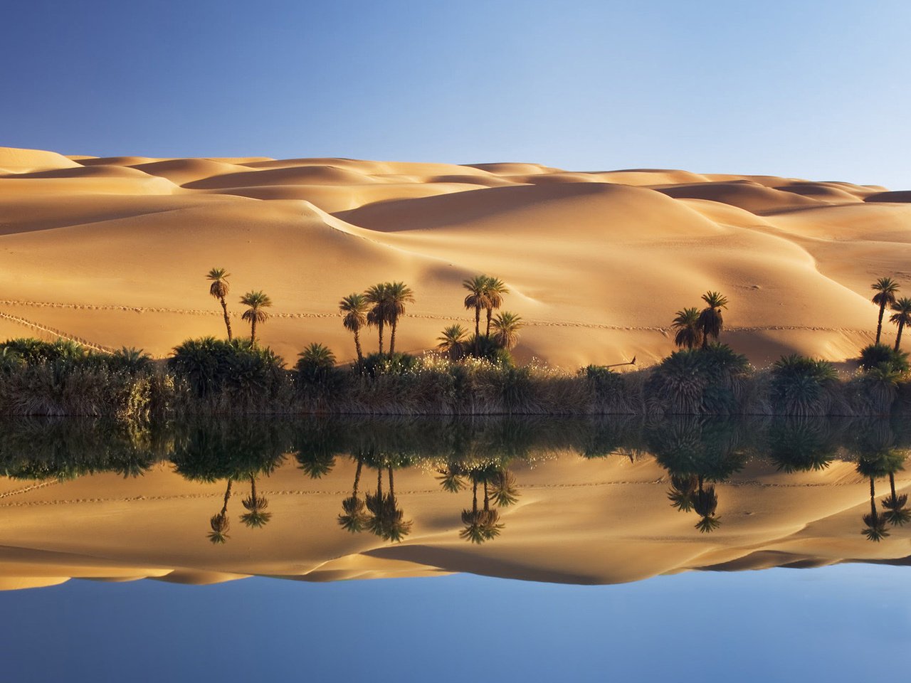 Обои озеро, песок, пустыня, пальмы, дюны, сахара, оазис, ливия, lake, sand, desert, palm trees, dunes, sugar, oasis разрешение 1920x1080 Загрузить