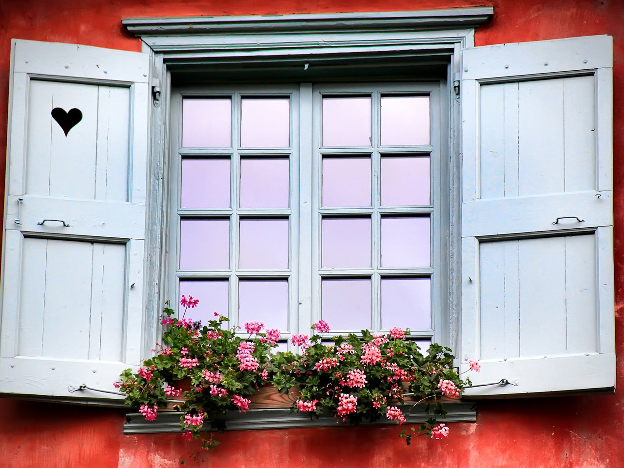 Обои цветы, окно, flowers, window разрешение 2560x1600 Загрузить