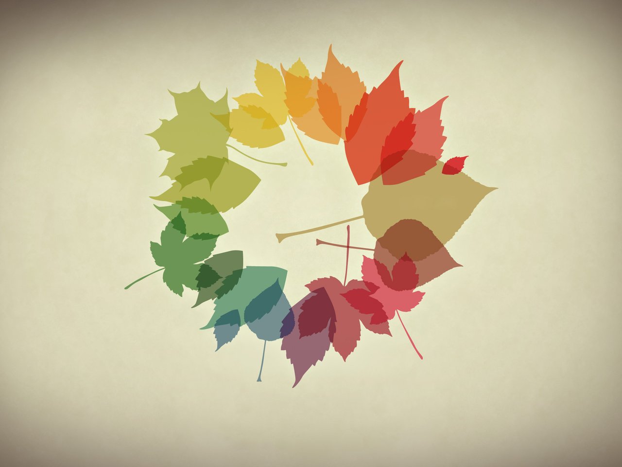 Обои обои, листья, осень, минимализм, осенние обои, wallpaper, leaves, autumn, minimalism, autumn wallpaper разрешение 2560x1440 Загрузить