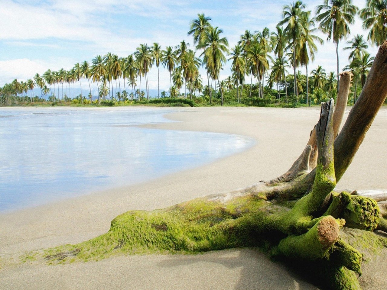 Обои море, песок, пляж, пальмы, тина, sea, sand, beach, palm trees, tina разрешение 1920x1080 Загрузить