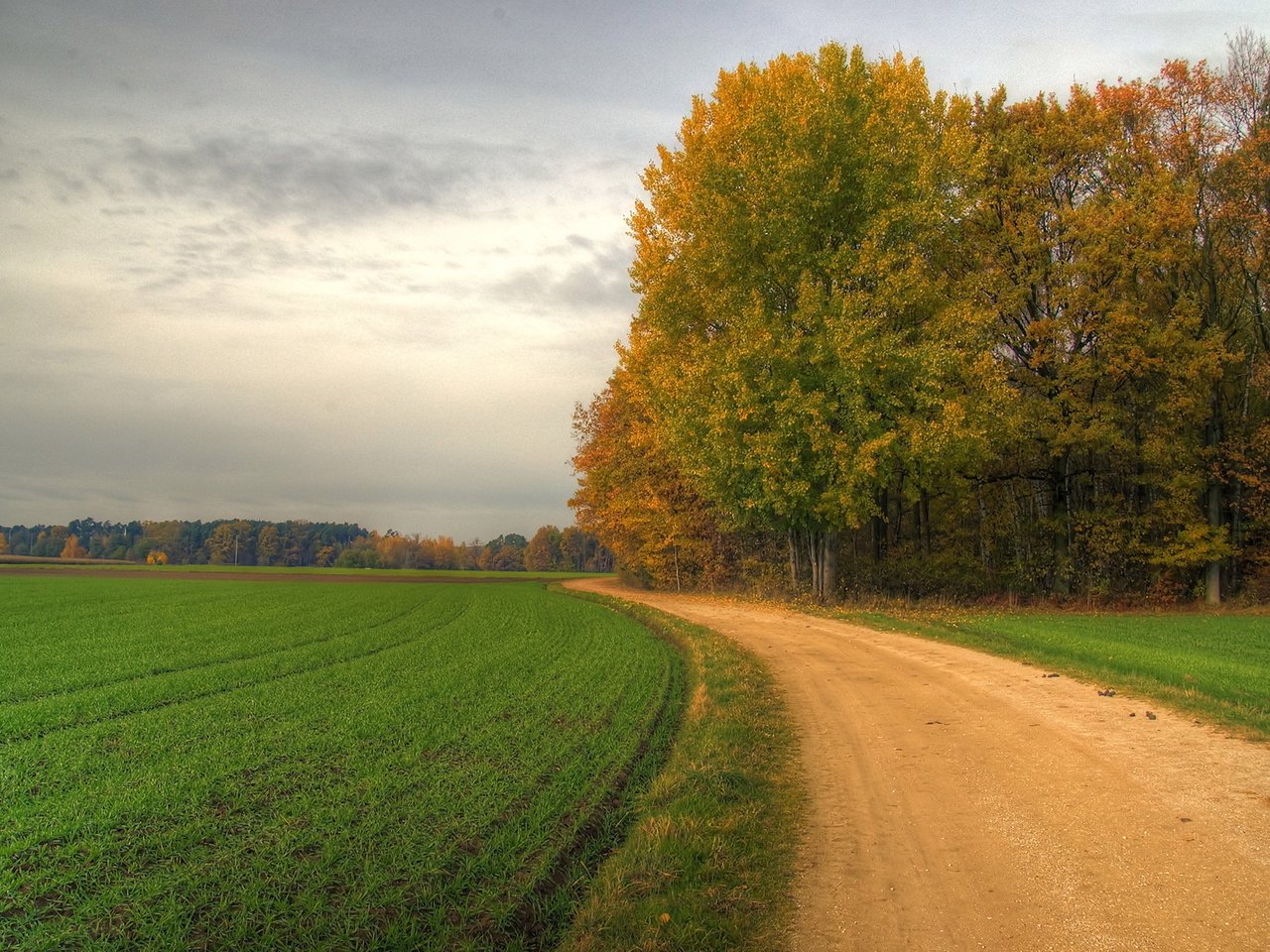 Обои дорога, road разрешение 1920x1200 Загрузить