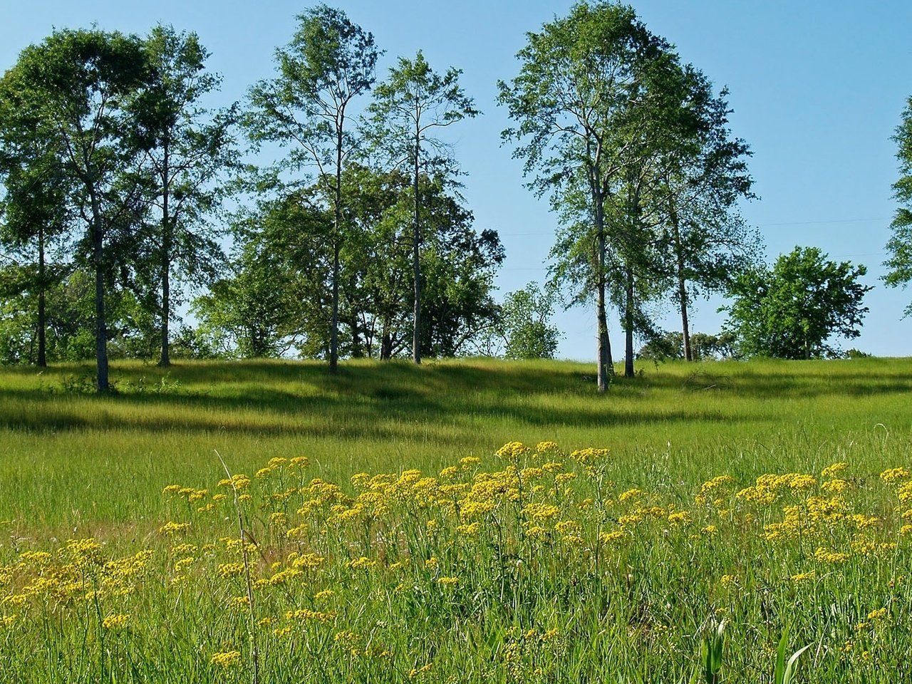 Обои разрешение 1920x1080 Загрузить