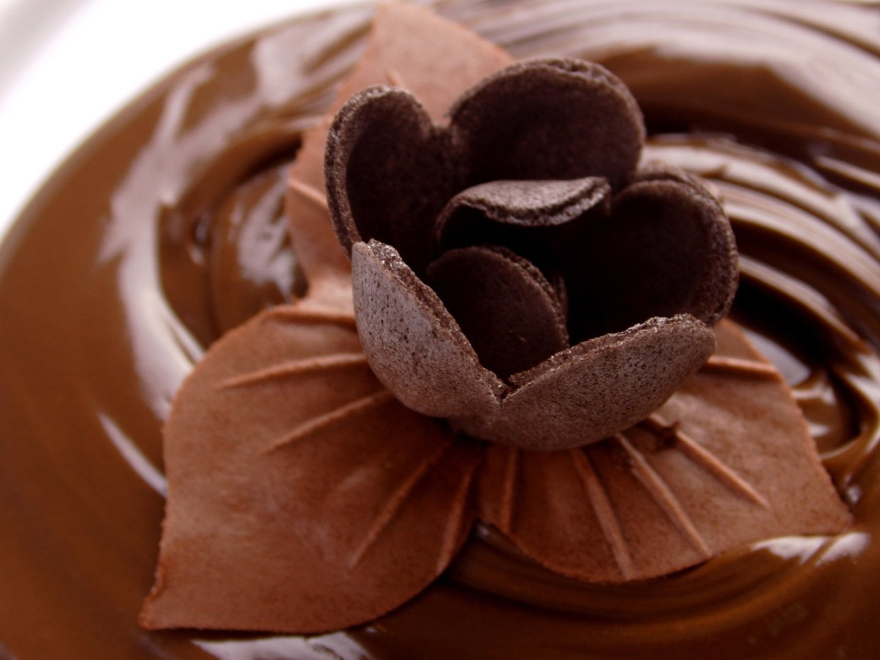 Обои шоколад, сладкое, шоколадный цветок, chocolate, sweet, chocolate flower разрешение 1920x1200 Загрузить