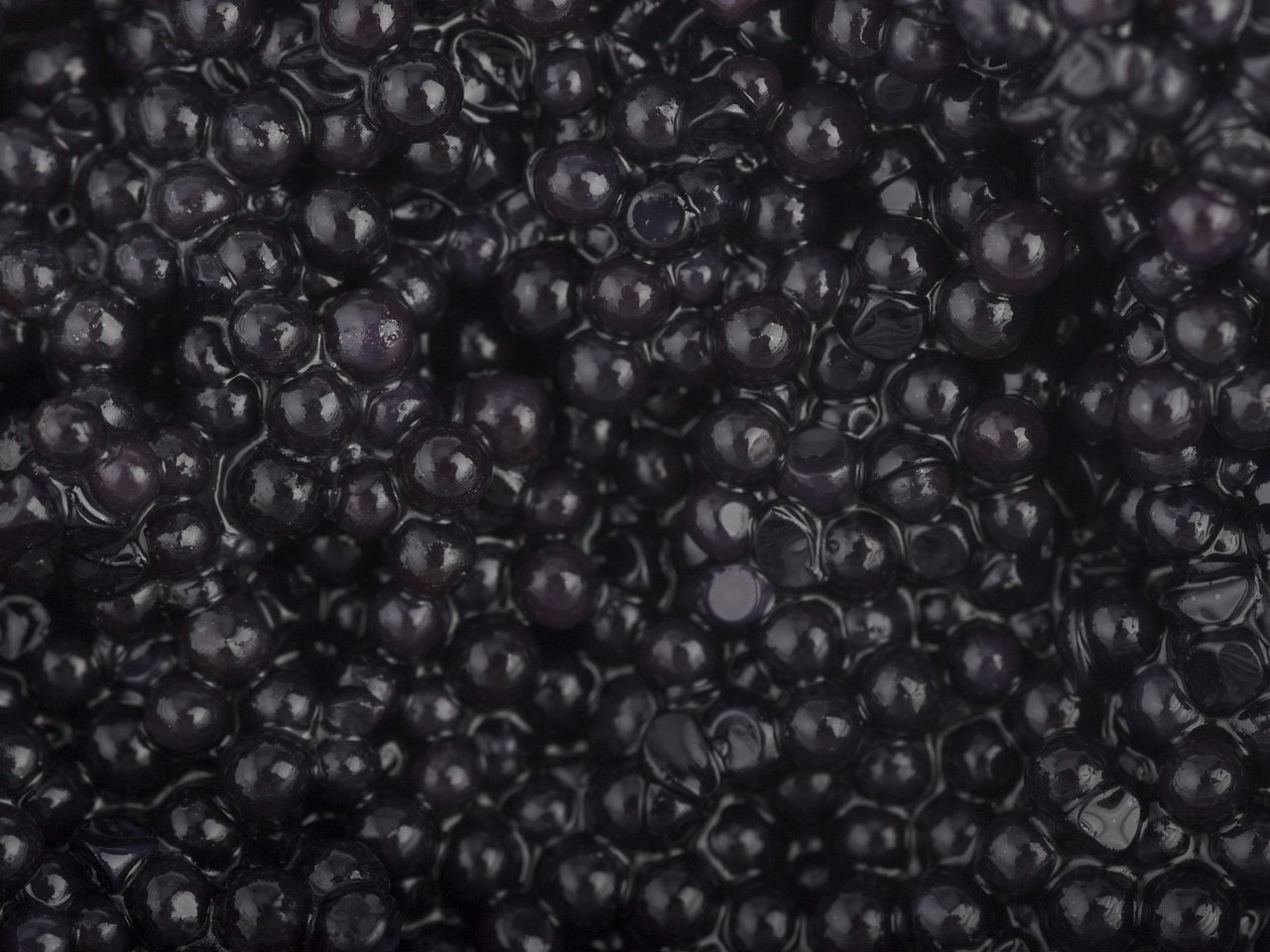 Обои черная, икра, зернистая, black, caviar, granular разрешение 2560x1705 Загрузить