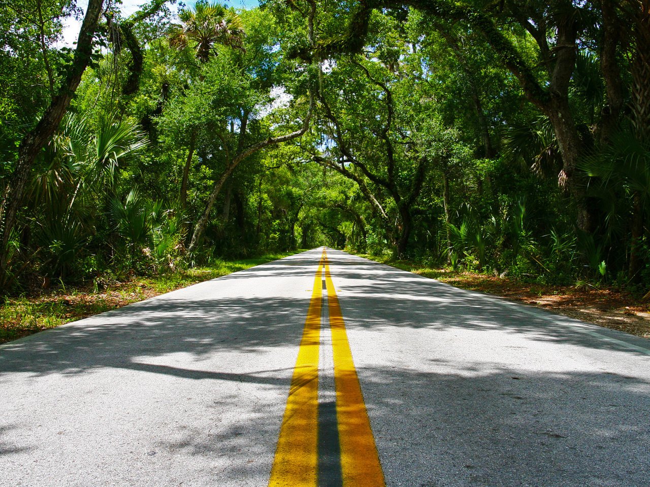 Обои дорога, деревья, линии, разметка, асфальт, road, trees, line, markup, asphalt разрешение 1920x1200 Загрузить