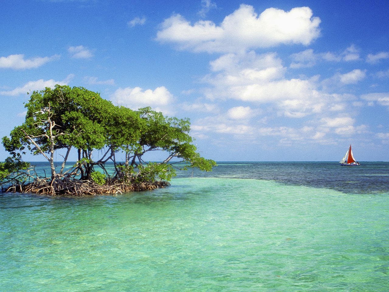 Обои деревья, горизонт, парусник, островок, мель, лазурь, trees, horizon, sailboat, island, stranded, lazur разрешение 1920x1080 Загрузить