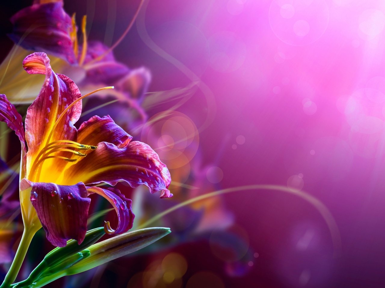Фотообои Фиолетовые лилии () ✔️ Купить на стену в интернет магазине