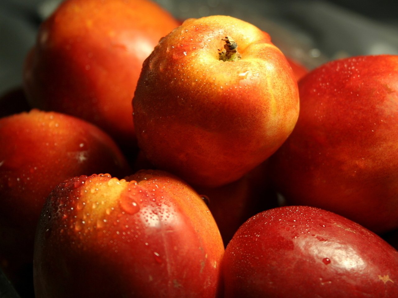 Обои вода, макро, капли, фрукты, нектарин, water, macro, drops, fruit, nectarine разрешение 1920x1080 Загрузить