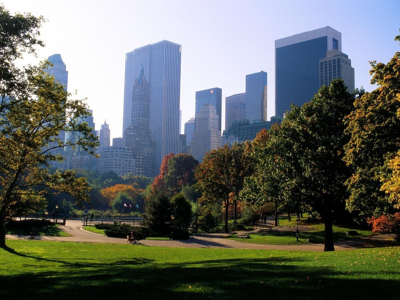 Обои деревья, парк, лето, город, небоскребы, trees, park, summer, the city, skyscrapers разрешение 2534x1686 Загрузить