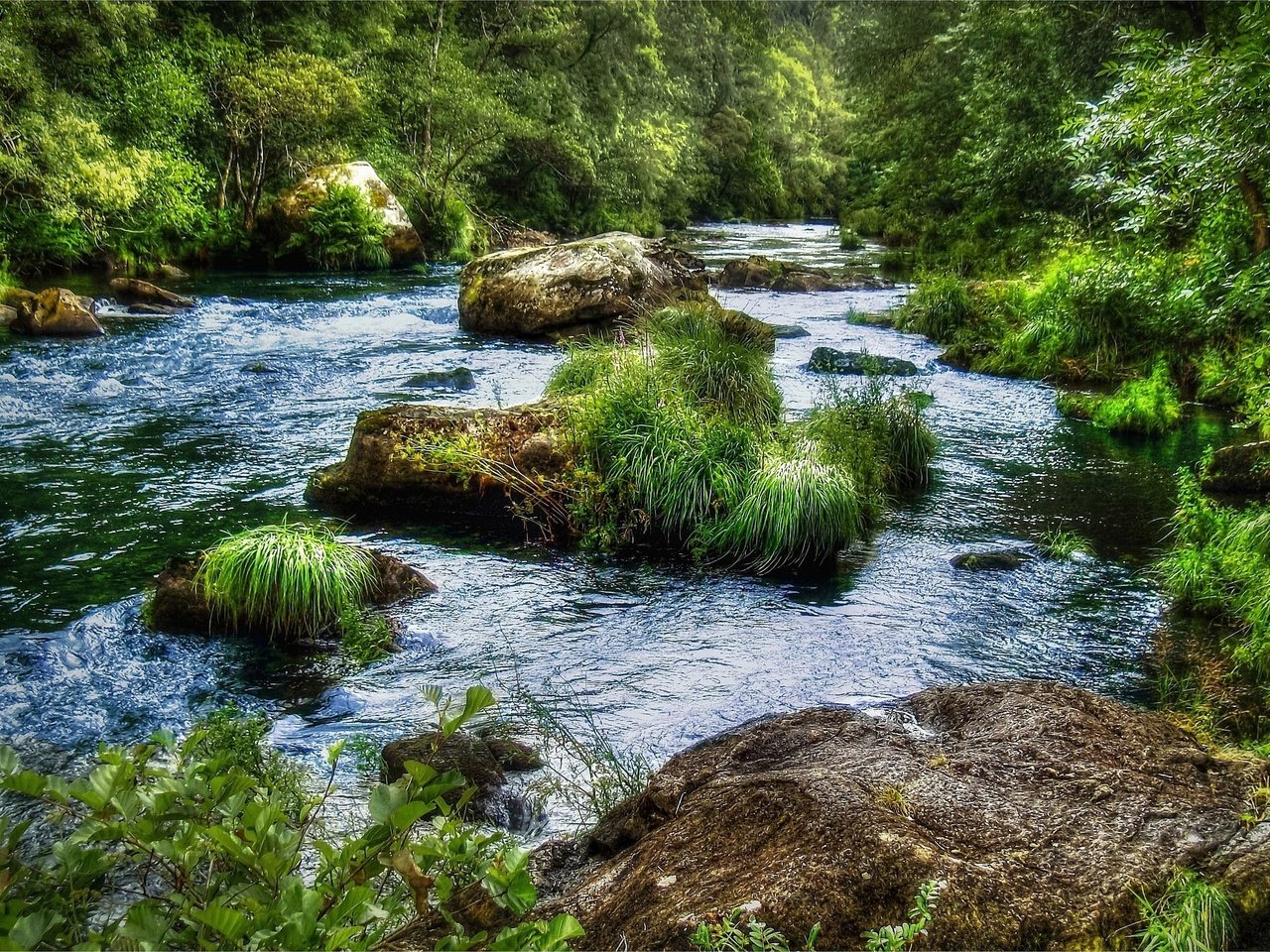 Обои трава, река, камни, лес, пейзаж, поток, grass, river, stones, forest, landscape, stream разрешение 2560x1600 Загрузить