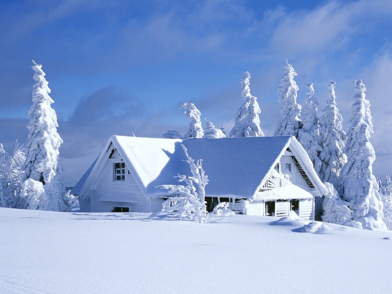 Обои небо, облака, деревья, снег, зима, кусты, домик, ели, the sky, clouds, trees, snow, winter, the bushes, house, ate разрешение 2560x1600 Загрузить