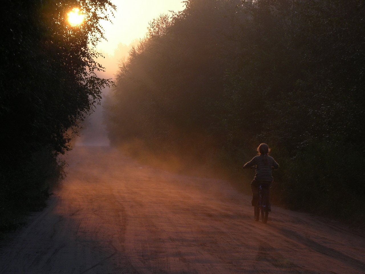 Обои дорога, велосипед, лес, лез, утро, devochka, utro, velosiped, туман, tuman, солнечный свет, рассвет, дети, девочка, ребенок, road, bike, forest, les, morning, fog, sunlight, dawn, children, girl, child разрешение 1920x1200 Загрузить