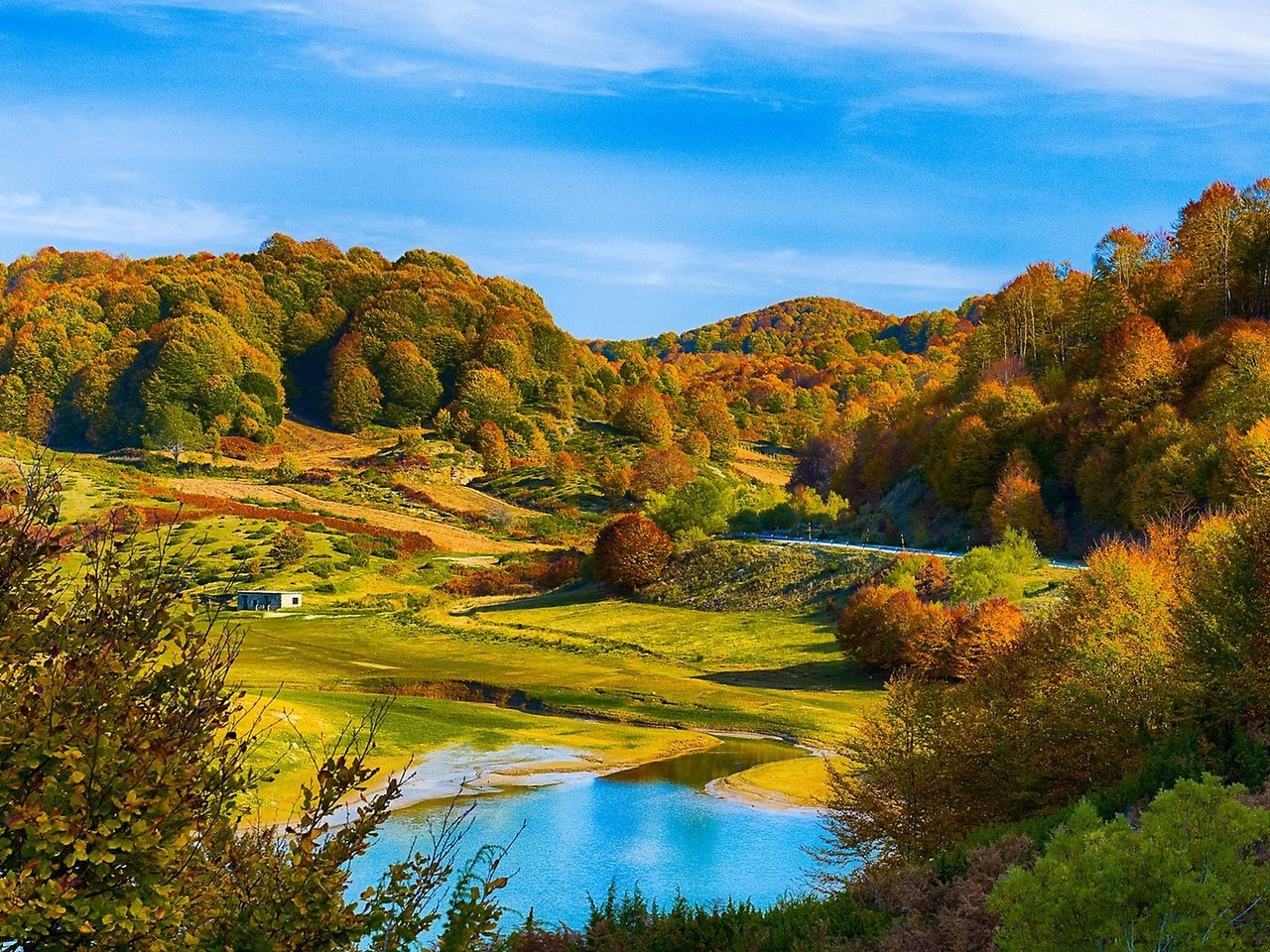 Обои красивый осенний лес на холмах, beautiful autumn forest in the hills разрешение 2560x1440 Загрузить