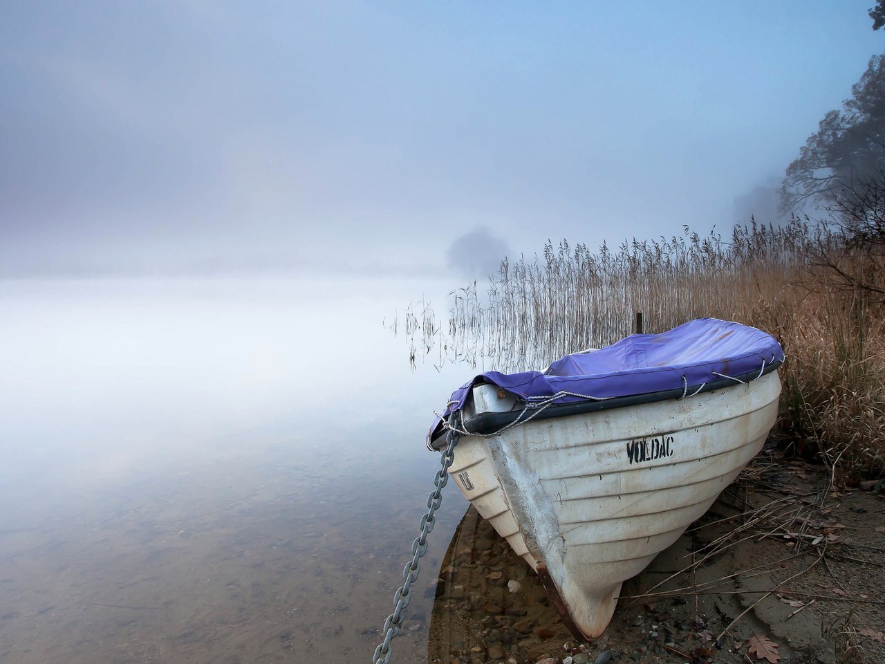 Обои озеро, туман, лодка, камыш, lake, fog, boat, reed разрешение 1920x1200 Загрузить