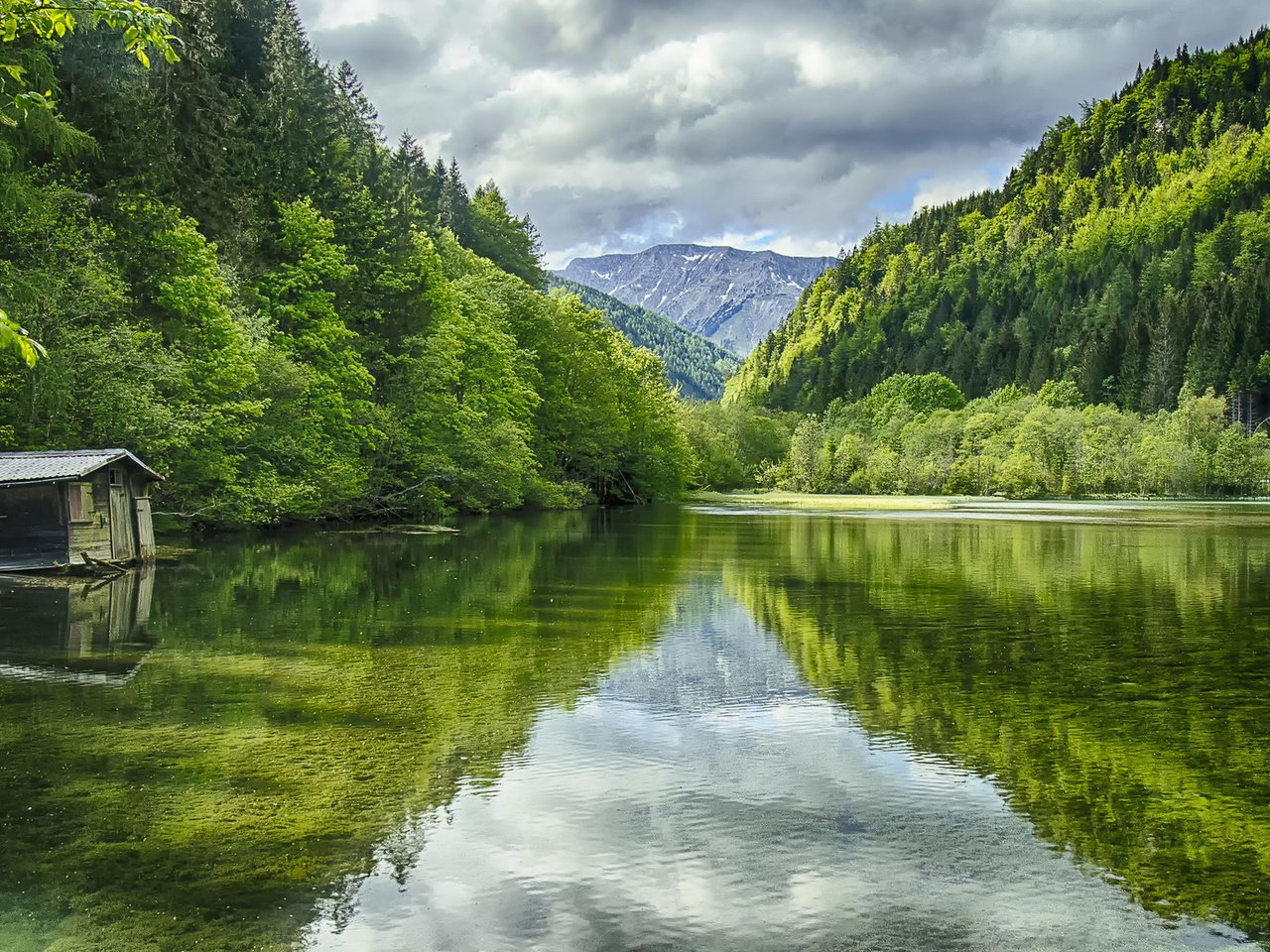 Обои деревья, вода, озеро, горы, природа, пейзаж, австрия, green lake, trees, water, lake, mountains, nature, landscape, austria разрешение 1920x1200 Загрузить