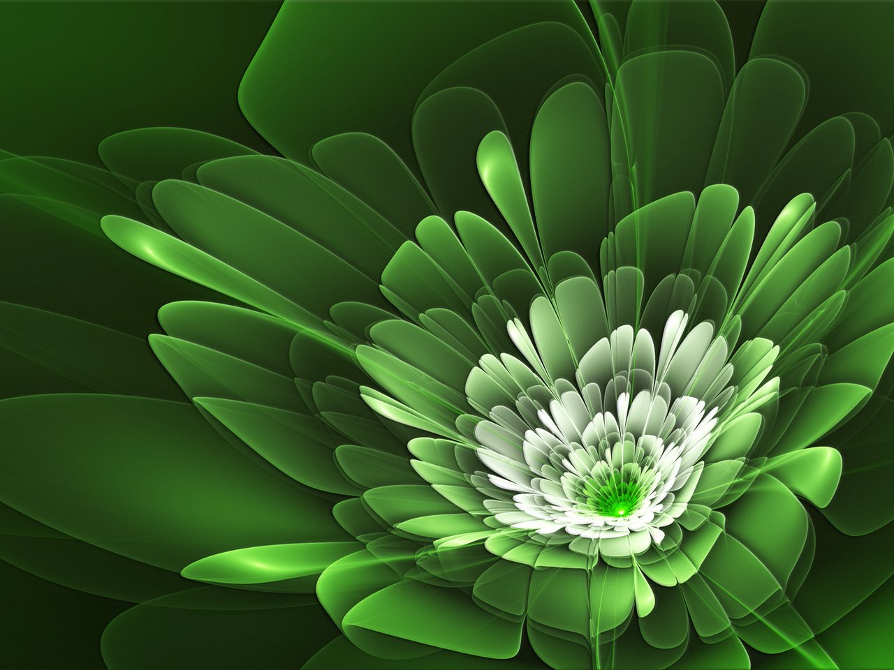 Обои линии, зелёный, цветок, лепестки, line, green, flower, petals разрешение 1920x1200 Загрузить