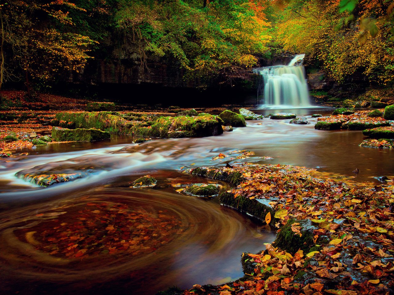 Обои лес, водопад, осень, октябрь, йоркшир, северная англия, forest, waterfall, autumn, october, yorkshire, northern england разрешение 1920x1200 Загрузить