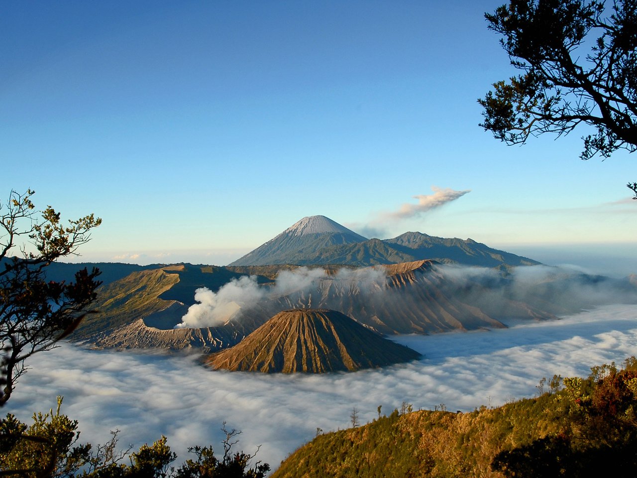 Обои деревья, горы, туман, вид, вулкан, trees, mountains, fog, view, the volcano разрешение 2560x1600 Загрузить