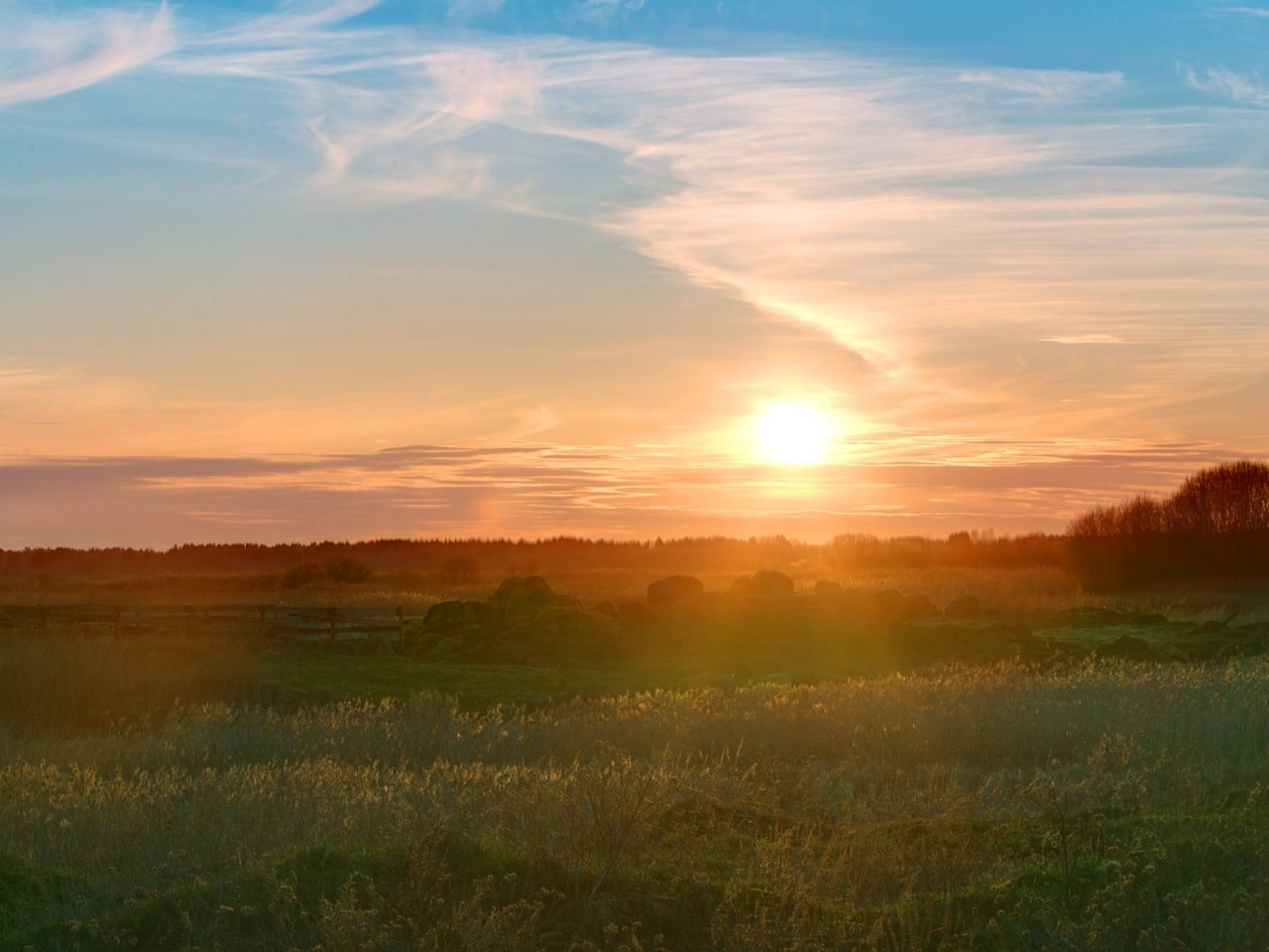 Обои трава, солнце, природа, утро, grass, the sun, nature, morning разрешение 3300x2186 Загрузить