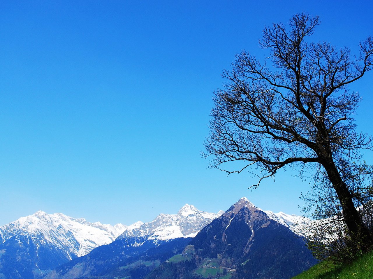 Обои небо, горы, природа, дерево, пейзаж, снежные вершины, the sky, mountains, nature, tree, landscape, snowy peaks разрешение 2560x1584 Загрузить