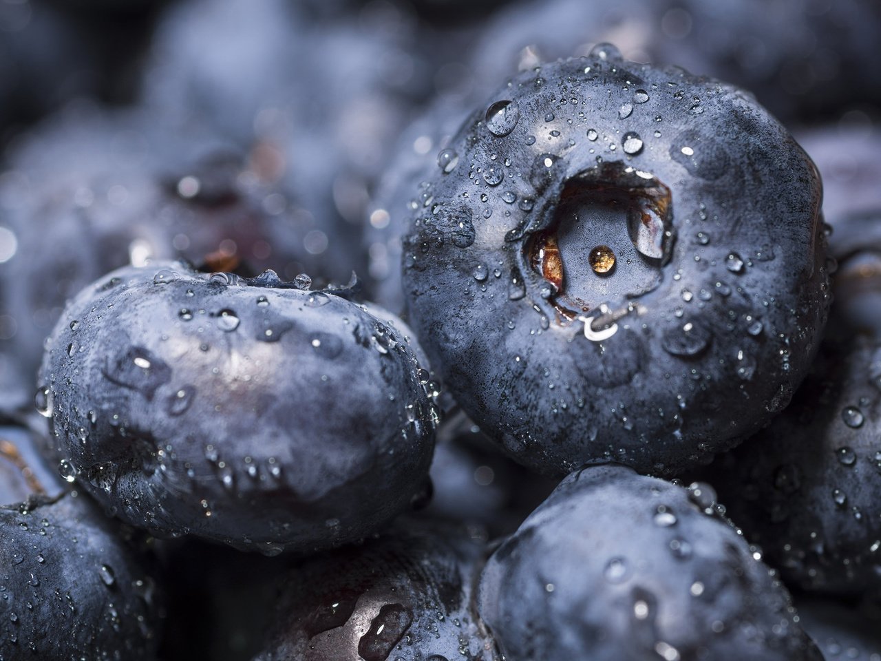 Обои ягода, черника, голубика, berry, blueberries разрешение 1920x1200 Загрузить