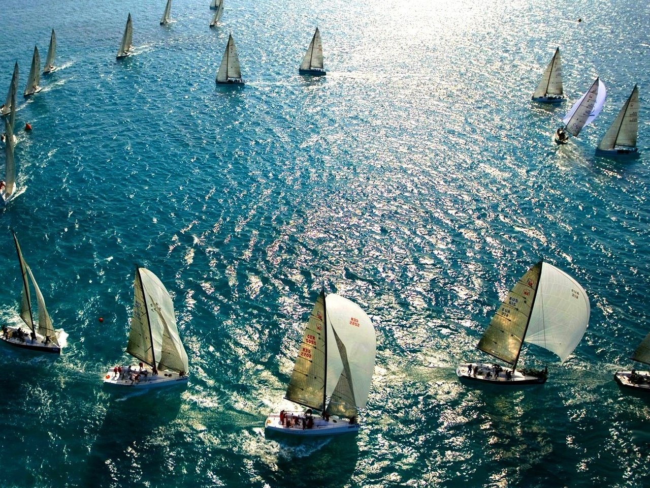 Обои яхты, океан, паруса, регата, yachts, the ocean, sails, regatta разрешение 1920x1080 Загрузить