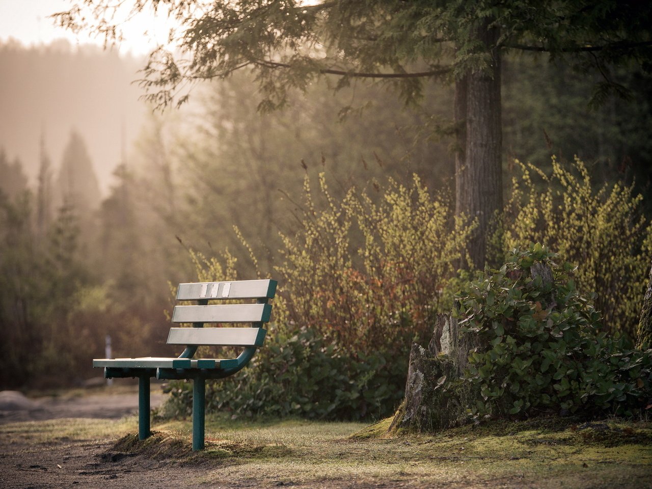 Обои парк, город, скамья, park, the city, bench разрешение 1920x1290 Загрузить