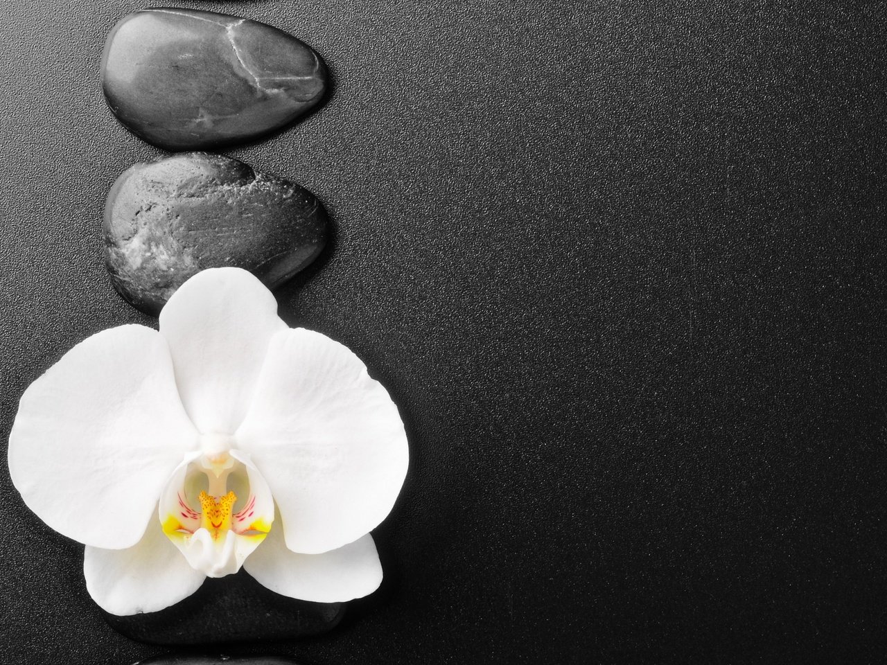Обои камни, фон, цветок, орхидея, stones, background, flower, orchid разрешение 3000x1927 Загрузить