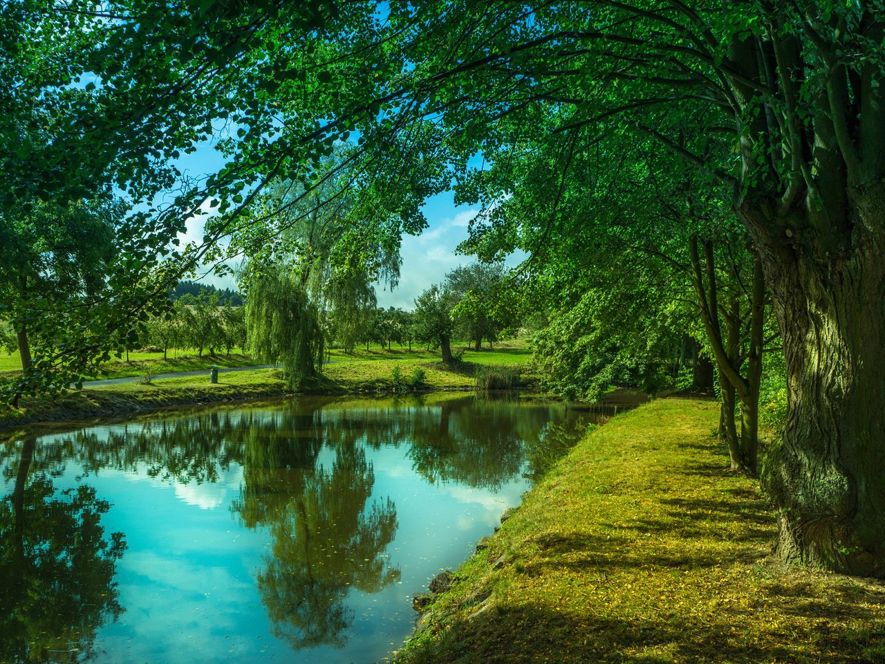 Обои деревья, река, trees, river разрешение 1920x1200 Загрузить