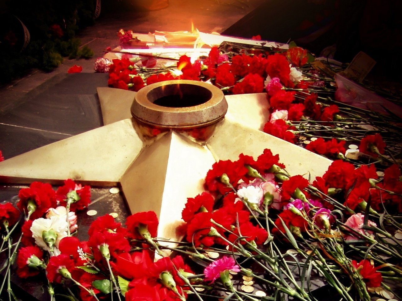 Обои цветы, звезда, день победы, 9 мая, вечный огонь, flowers, star, victory day, may 9, eternal flame разрешение 1920x1440 Загрузить