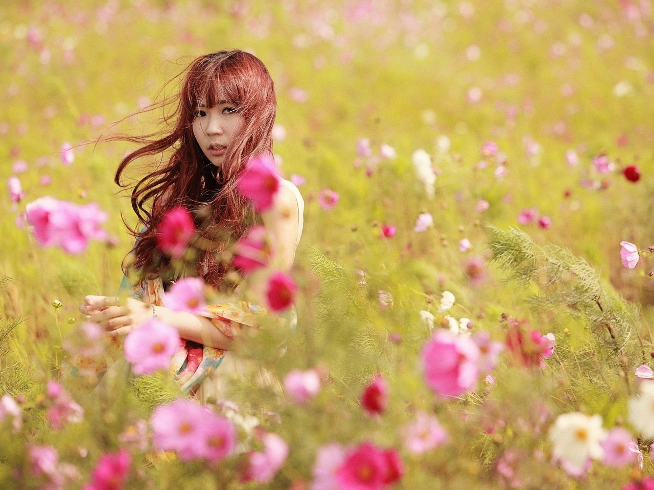 Обои цветы, девушка, луг, азиатка, космея, flowers, girl, meadow, asian, kosmeya разрешение 2560x1707 Загрузить