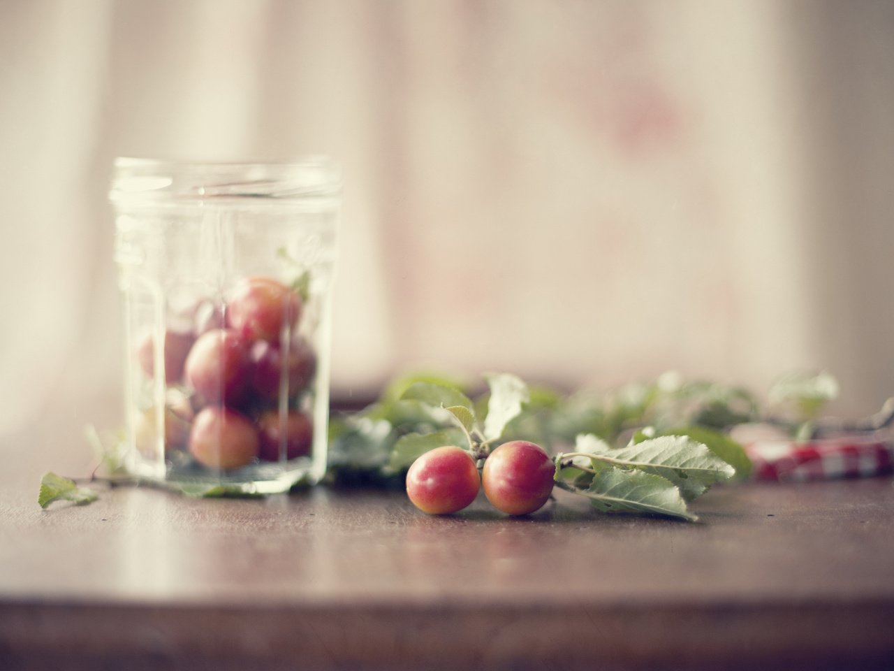 Обои листья, стол, банка, алыча, слива, leaves, table, bank, plum, drain разрешение 2048x1365 Загрузить