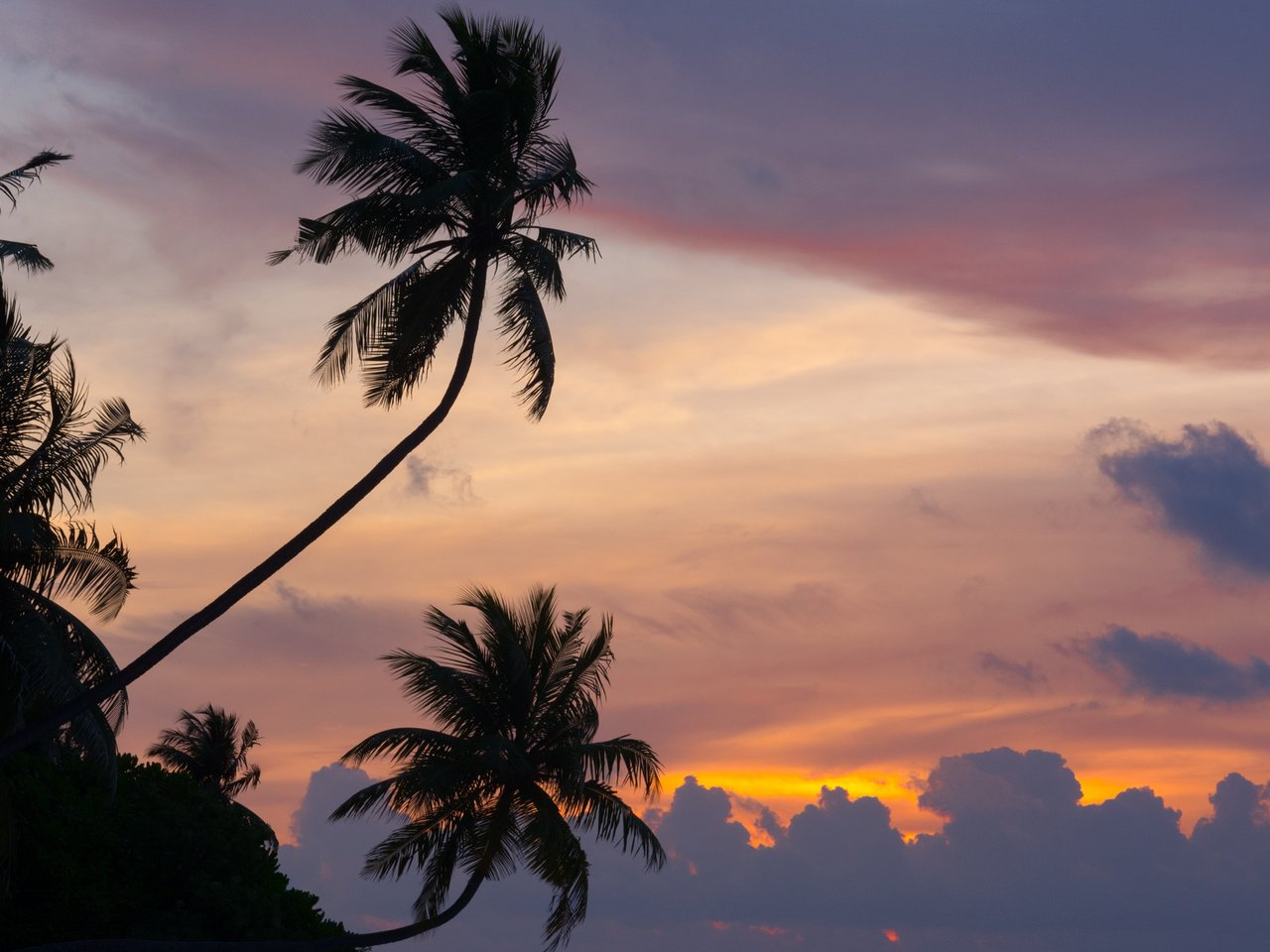 Обои небо, природа, закат, пальмы, океан, мальдивы, the sky, nature, sunset, palm trees, the ocean, the maldives разрешение 2880x1800 Загрузить
