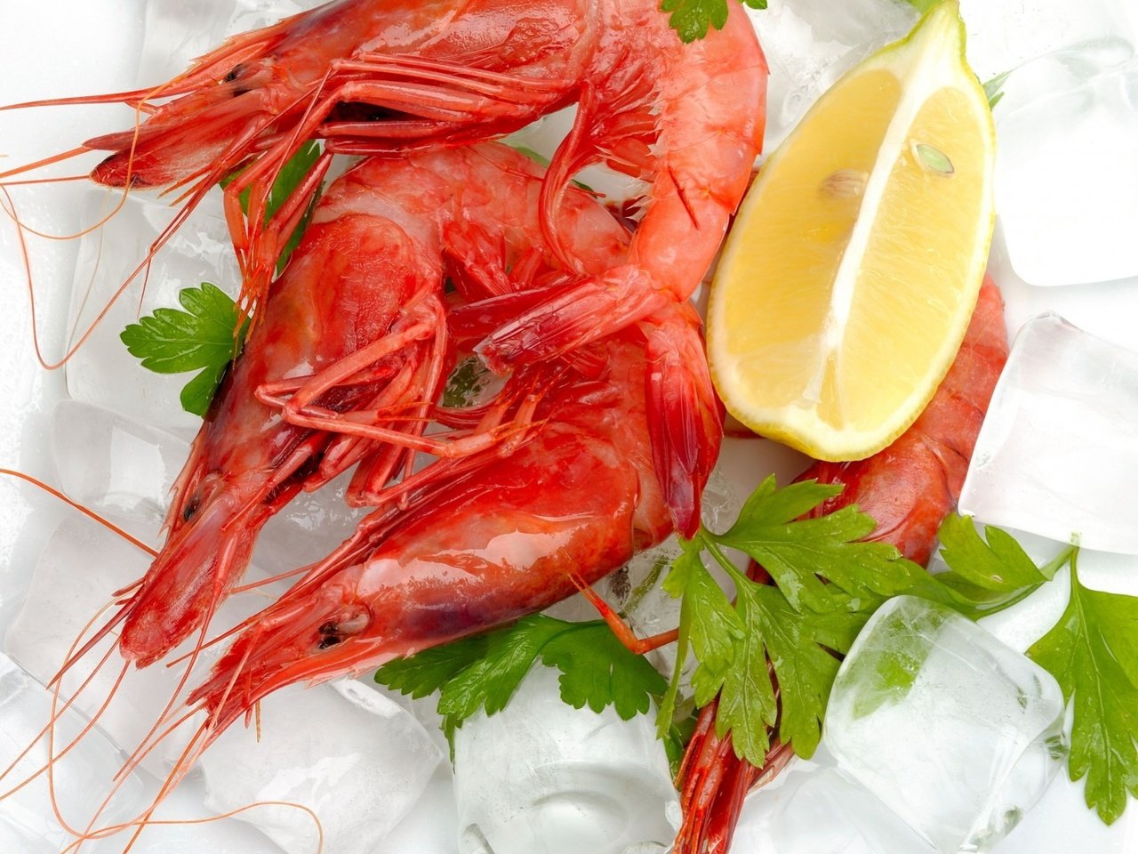 Обои лёд, лимон, морепродукты, креветки, кинза, ice, lemon, seafood, shrimp, cilantro разрешение 1920x1612 Загрузить