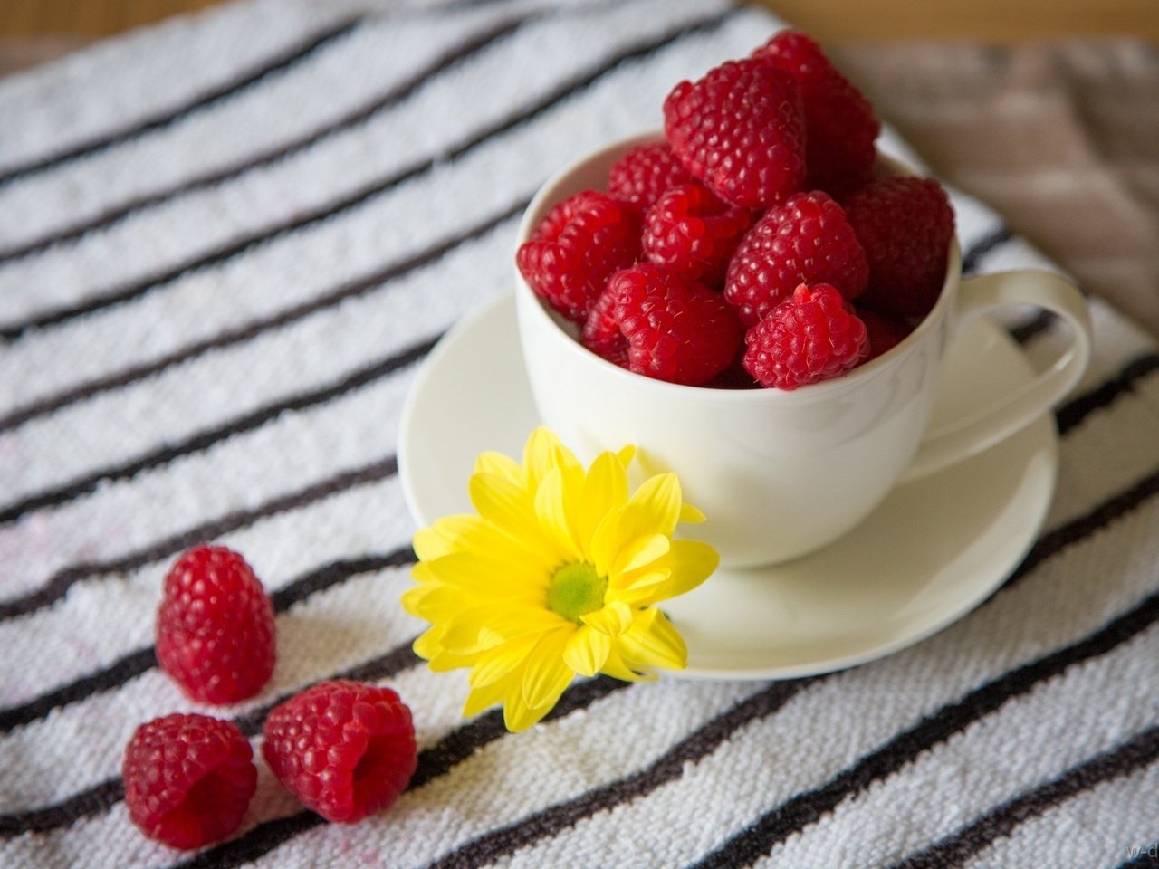 Обои цветок, малина, красная, блюдце, ягоды, чашка, flower, raspberry, red, saucer, berries, cup разрешение 1920x1280 Загрузить