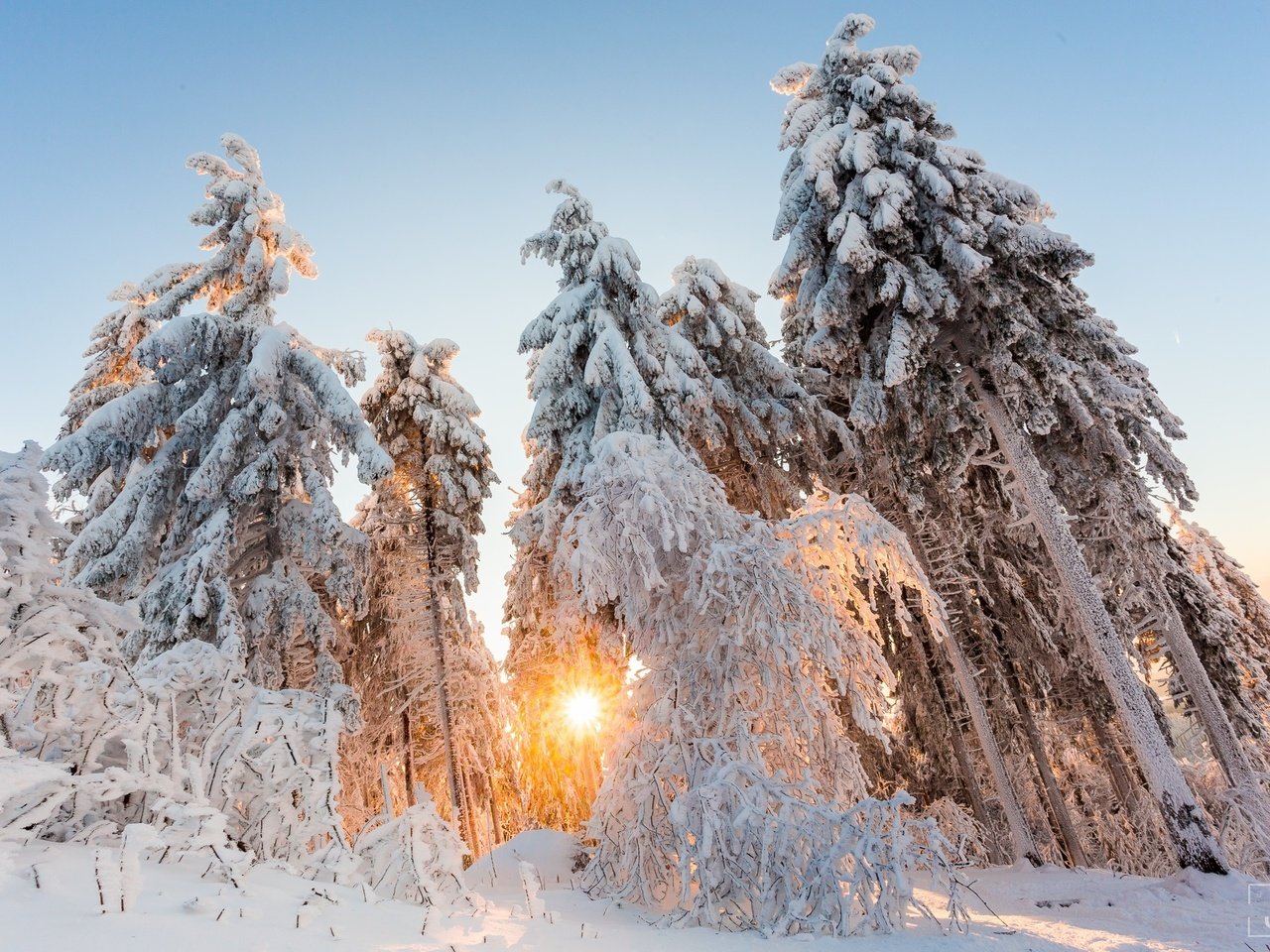 Обои свет, деревья, солнце, снег, природа, лес, зима, light, trees, the sun, snow, nature, forest, winter разрешение 2048x1365 Загрузить