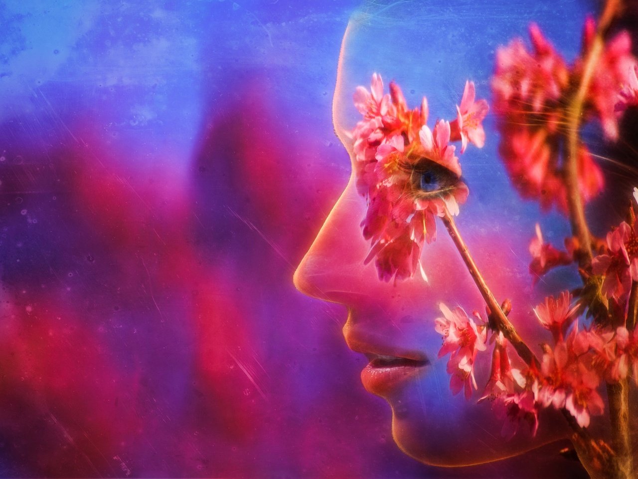 Обои цветы, ветка, абстракция, профиль, весна, лицо, flowers, branch, abstraction, profile, spring, face разрешение 2048x1365 Загрузить