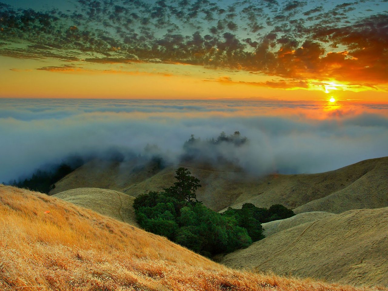 Обои небо, облака, деревья, горы, закат, туман, the sky, clouds, trees, mountains, sunset, fog разрешение 1920x1200 Загрузить