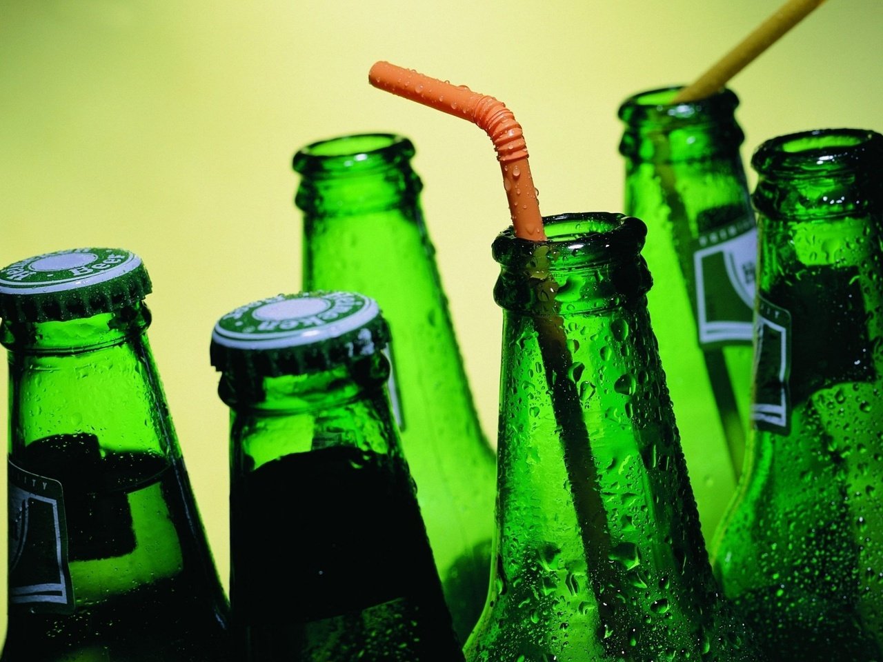 Обои капли, стекло, пиво, бутылки, heineken, drops, glass, beer, bottle разрешение 1920x1200 Загрузить
